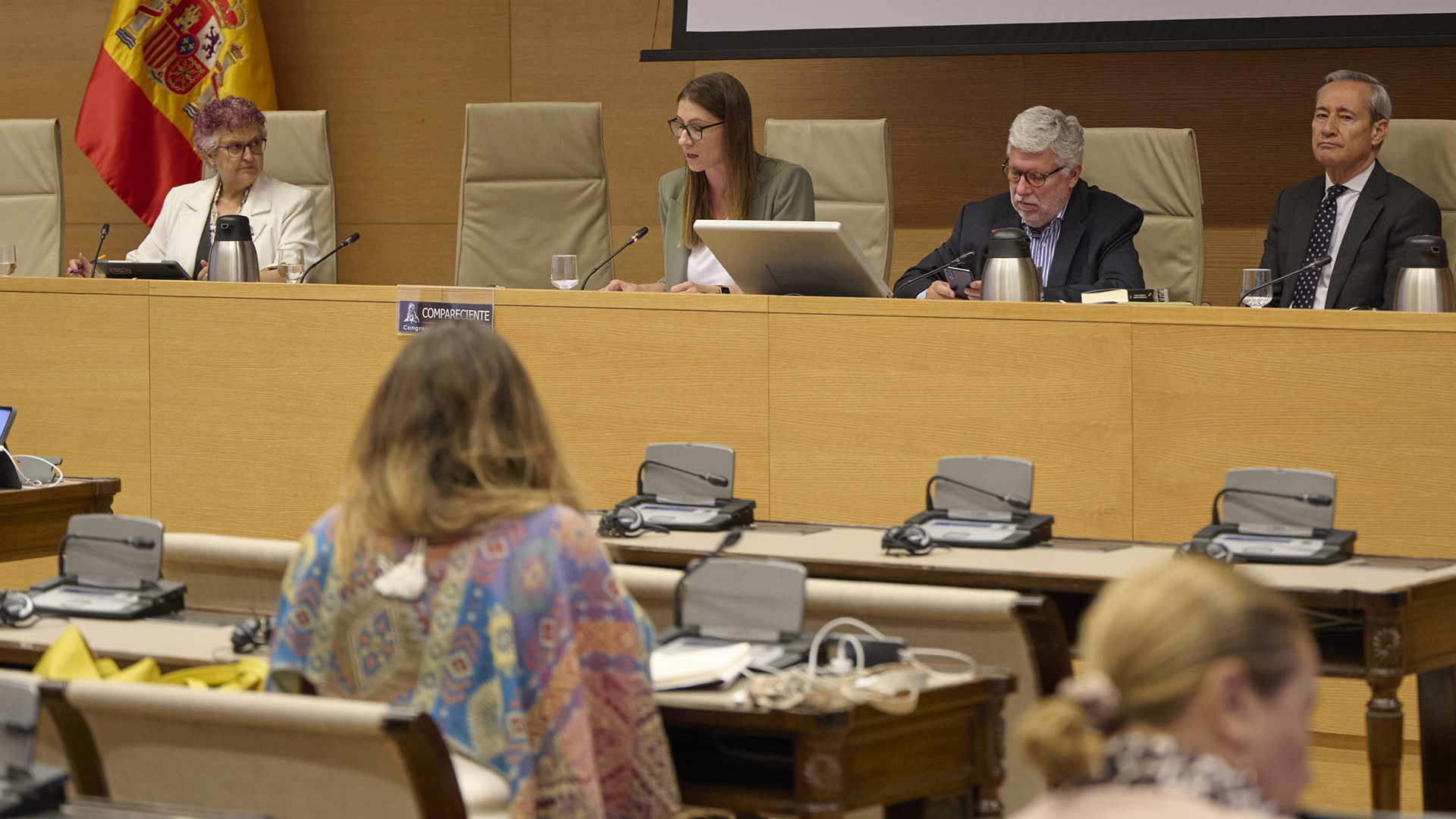 Laura Villaseñor explica a los diputados que en otros sectores, como la Educación, ya existe una legislación que establece un número máximo de alumnos por docente